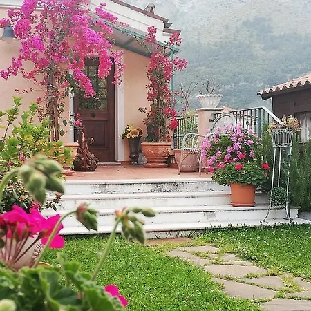 Villa Stella Guest house Maratea